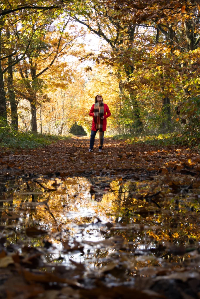 weerspiegeling van water fotografie